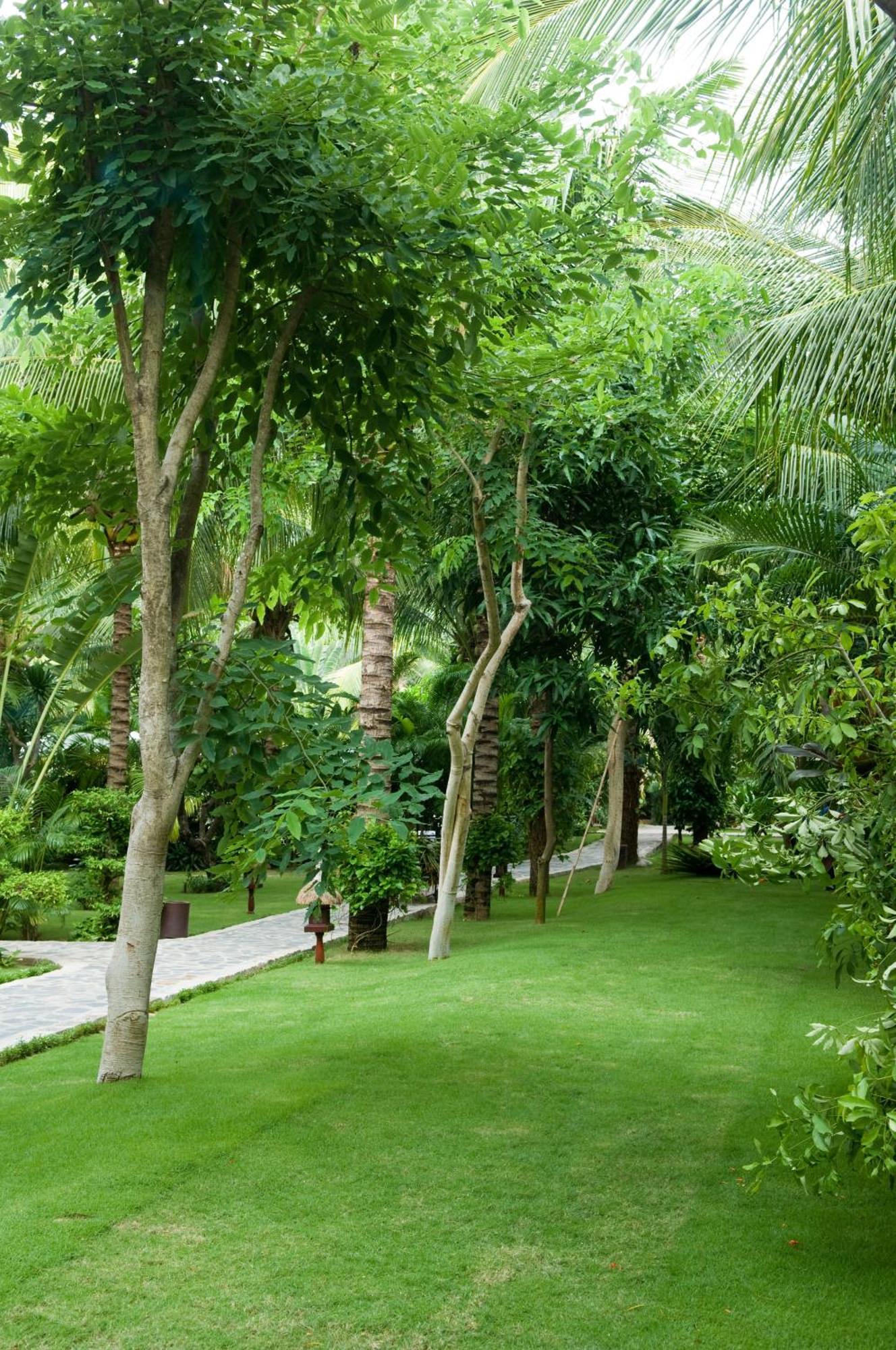 Cham Villas Resort Mũi Né Exteriér fotografie